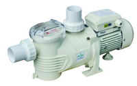 //iprorwxhkponln5p.ldycdn.com/cloud/libprkmmlqsrklokkqlrkp/swimming-pool-pumps_05.jpg