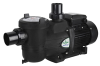 //iprorwxhkponln5p.ldycdn.com/cloud/liBprKmmlqSRkloknoijkp/Swimming-Pool-Pumps_2.jpg