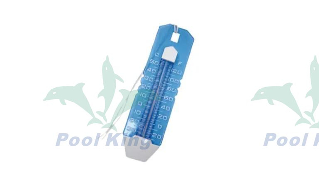 Jumbo Easy Read Thermometer