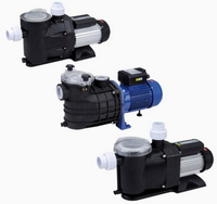 //iprorwxhkponln5p.ldycdn.com/cloud/lkBprKmmlqSRkljrrorqkq/Top-Pool-Pump-Manufacturers-and-Suppliers-in-Russia.jpg