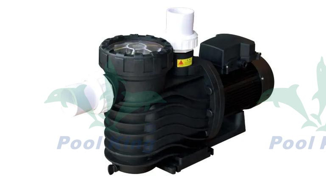 PK Series Hot Spring Pool Pumps