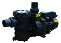 //iprorwxhkponln5p.ldycdn.com/cloud/llbprkmmlqsrkloklorqkp/swimming-pool-pumps_10.jpg