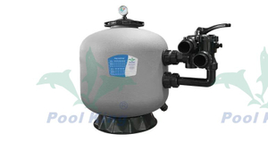 Filtre de piscine de sidemount en plastique économique