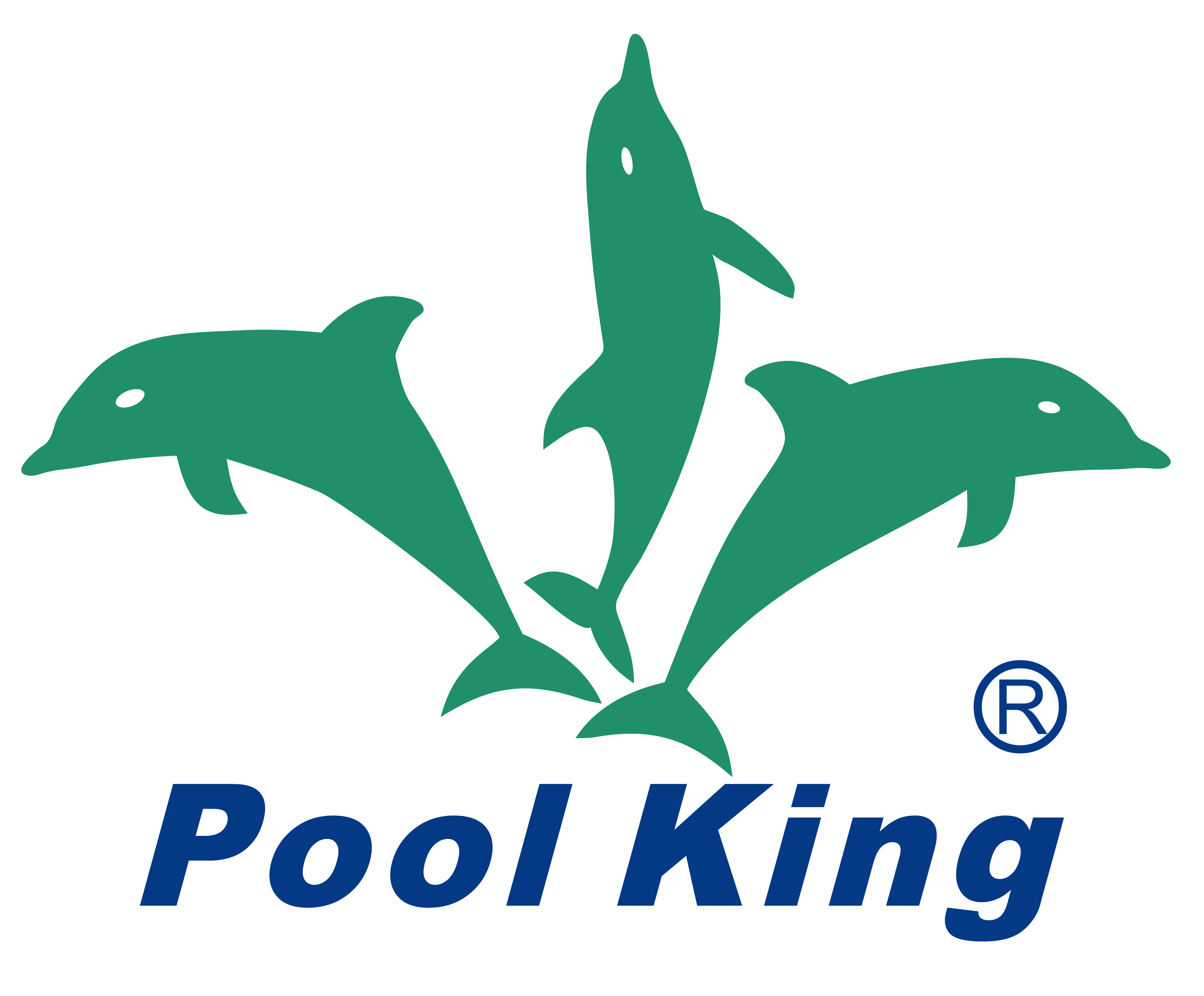 pool king logo