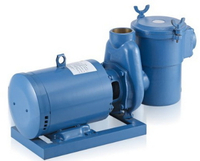 //iprorwxhkponln5p.ldycdn.com/cloud/lnBprKmmlqSRjlomnlopkm/Top-10-Pool-Pump-Manufacturers-in-China.jpg