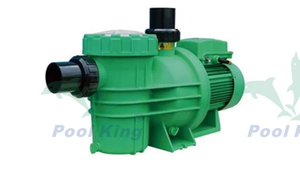 PM Series Hight Self-priming Pool Pump