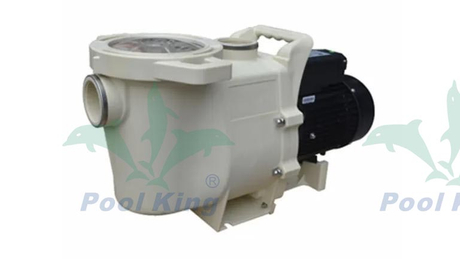 SWP Series Energy Saving Pool Pumps