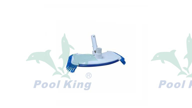 Deluxe Vacuum Weighted Side Brush Vacumm Head