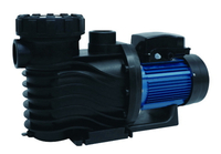//iprorwxhkponln5p.ldycdn.com/cloud/loBprKmmlqSRklokoonjkp/Swimming-Pool-Pumps_07.jpg