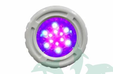 2122X