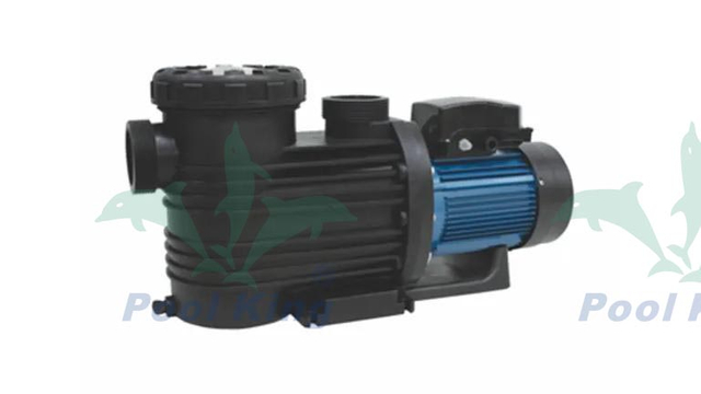 PE Series Hot Spring Pool Pumps