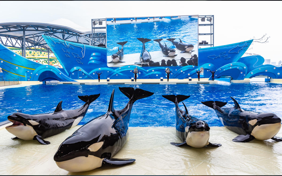 Aquarium