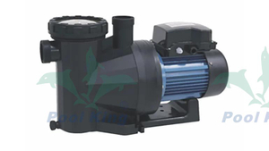 PU Series Hot Spring Pool Pumps