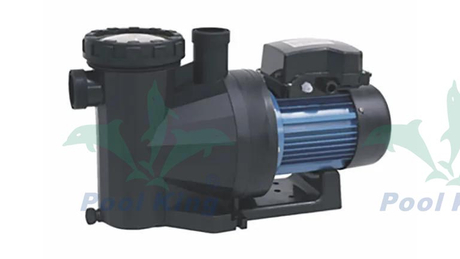 PU Series Hot Spring Pool Pumps
