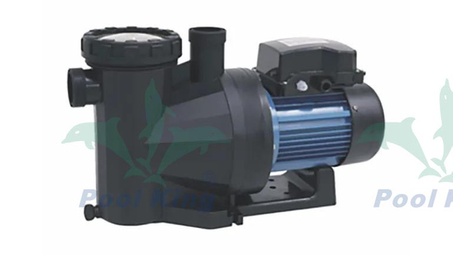 PU Series Hot Spring Pool Pumps