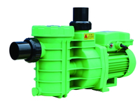 //iprorwxhkponln5p.ldycdn.com/cloud/lqbprkmmlqsrklrliiqokq/swimming-pool-pumps_13.jpg