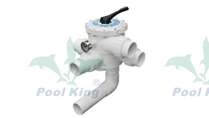 2.5inch Sidemount Multiport Valve Sidemoutn Filters