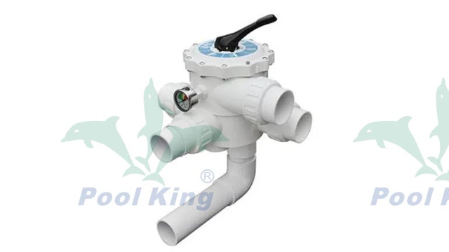 2.5inch Sidemount Multiport Valve Sidemoutn Filters
