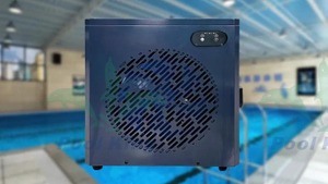 Inverter Mini Swimming Pool Heat Pump